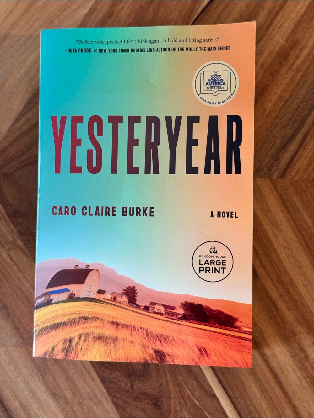 Yesteryear by Caro Claire Burke — Large Print Paperback,